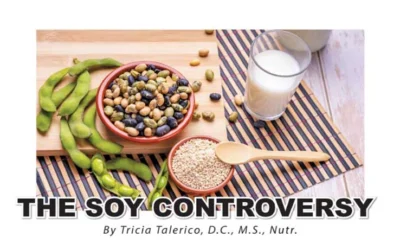 The Soy Controversy